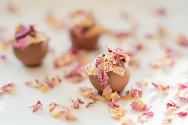 카지노 파리 브이아이피 안드로이드/iOS 앱